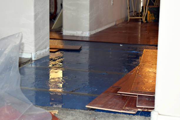 Professional Basement Flood Cleanup technician working in Markham, TX